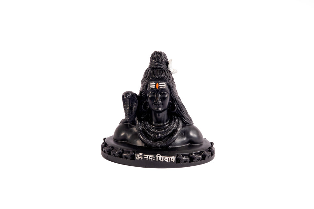 Mahadev Ji | Om Namah Shivaya | Car Dashboard